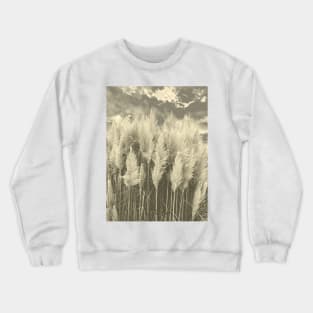 White Pampas Grass with dramatic sky above, nature sepia color photography Crewneck Sweatshirt